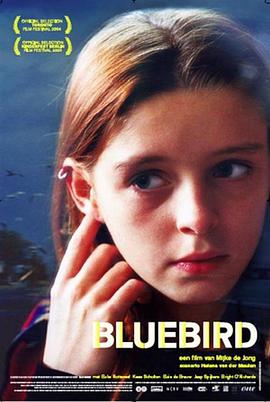 青鸟 Bluebird