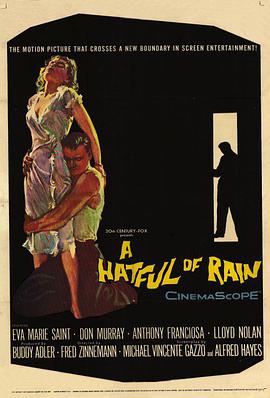 浪子回头 A Hatful of Rain