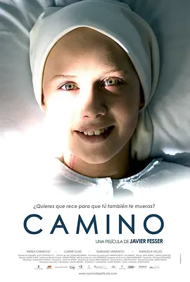 卡米诺 Camino
