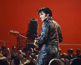 <span style='color:red'>猫</span><span style='color:red'>王</span> Elvis