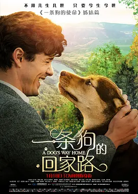 <span style='color:red'>一</span><span style='color:red'>条</span>狗的回家<span style='color:red'>路</span> A Dog's Way Home