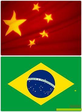 巴西vs中国 Brazil vs. China