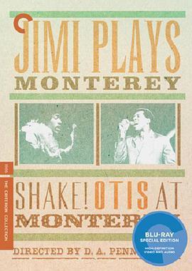 <span style='color:red'>奥蒂斯</span>震撼蒙特雷音乐节 Shake!: Otis at Monterey