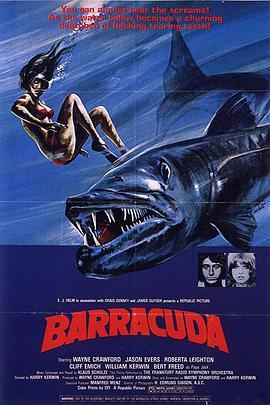 梭鱼 Barracuda