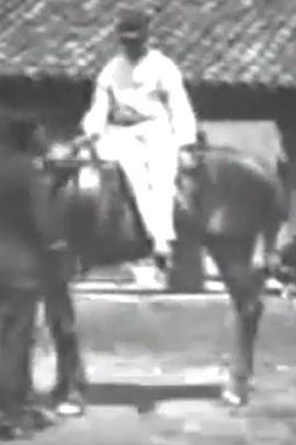 Horse Trick Riders