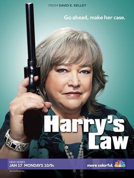 鞋店事务所 第一季 Harry’s Law Season 1