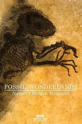 <span style='color:red'>化石</span>仙境：隐藏在自然中的宝藏 Fossil Wonderlands: Nature's Hidden Treasures