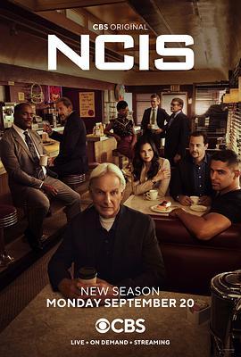海军罪案调查处 第十九季 NCIS: Naval Criminal Investigative Service Season 19