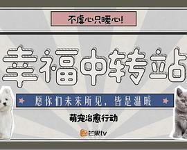 幸福中转站