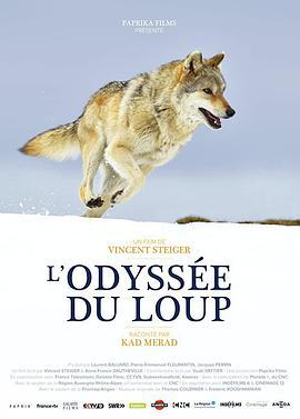 狼之旅 L’Odyssée du Loup