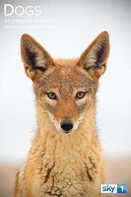 神奇的犬科<span style='color:red'>家</span><span style='color:red'>族</span> <span style='color:red'>第</span><span style='color:red'>一</span><span style='color:red'>季</span> Dogs: An Amazing <span style='color:red'>Animal</span> Family <span style='color:red'>Season</span> <span style='color:red'>1</span>