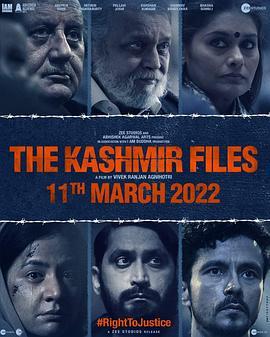 克什米尔档案 The Kashmir Files