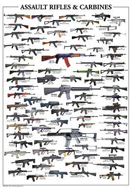 枪支：火器的演变史 Guns: The Evolution of Firearms
