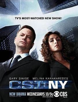 犯罪现场调查：纽约 第五季 CSI: NY Season 5