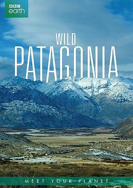 野性巴塔哥尼亚 Wild Patagonia