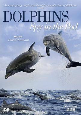 卧底海豚帮 Dolphins - Spy in the Pod