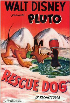 <span style='color:red'>救援</span>犬 Rescue Dog