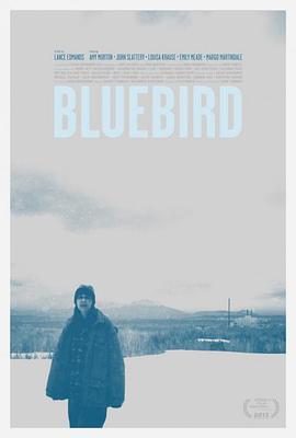青鸟 Bluebird