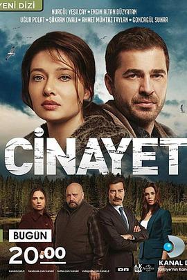 犯罪 第一季 Cinayet
