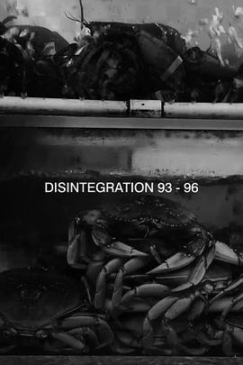 瓦解93-96 Disintegration 93-96