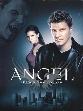 暗黑天使 第二季 Angel Season 2