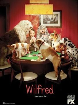 犬友笑传 第三季 Wilfred Season 3