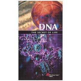 <span style='color:red'>DNA</span>：生命的秘密 <span style='color:red'>DNA</span>