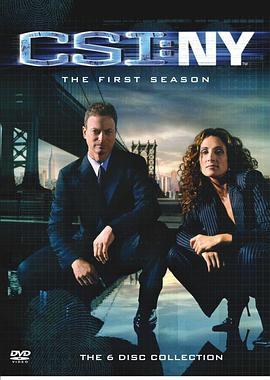 犯罪现场调查：纽约 第一季 CSI: NY Season 1