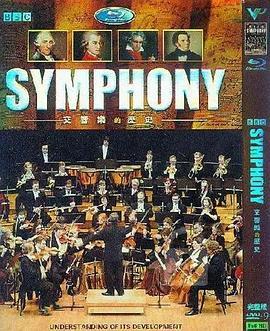 交响乐的故事 Symphony