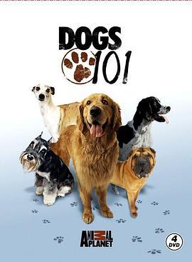狗狗全纪录 第一季 Dogs 101 Season 1