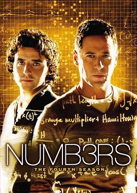 数字追凶 第四季 Numb3rs Season 4