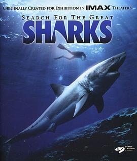 寻鲨记 Search for the Great Sharks