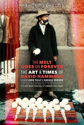 融化永不停息：<span style='color:red'>大卫</span>·哈蒙斯的艺术与时代 The Melt Goes on Forever: The Art & Times of David Hammons