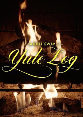 圣诞原木 Adult Swim Yule Log