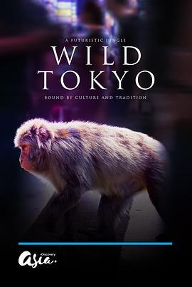 狂野东京 Wild Tokyo