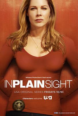 平地风云 第五季 In Plain Sight Season 5