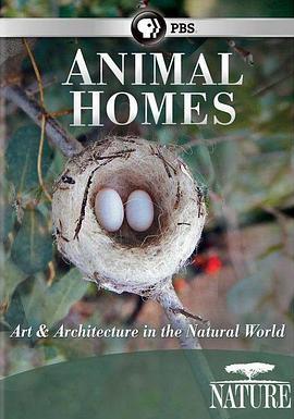动物之家：鸟巢 Animal Homes: The Nest