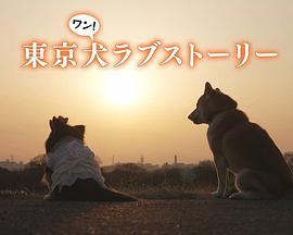 东京<span style='color:red'>犬</span><span style='color:red'>爱</span>情故事 東京<span style='color:red'>犬</span>ラブストーリー