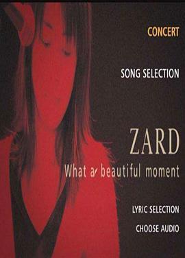 ZARD2004年日本巡回演唱会 ZARD What a beautiful moment Tour 2004