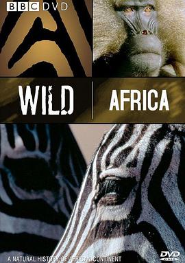 野性非洲 Wild <span style='color:red'>Africa</span>