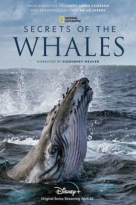 鲸鱼的秘密 Secrets of the Whales