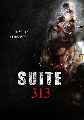 313套房 Suite 313