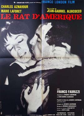 美国老鼠 Le rat d'Amérique