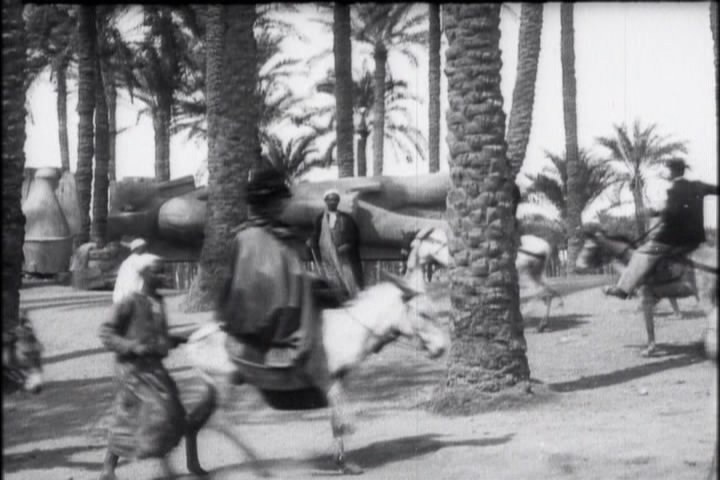 椰树下的驴 Bourricots sous les palmiers