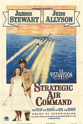 战略空军 Strategic Air Command