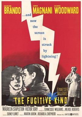 <span style='color:red'>逃</span><span style='color:red'>亡</span>者 The Fugitive Kind