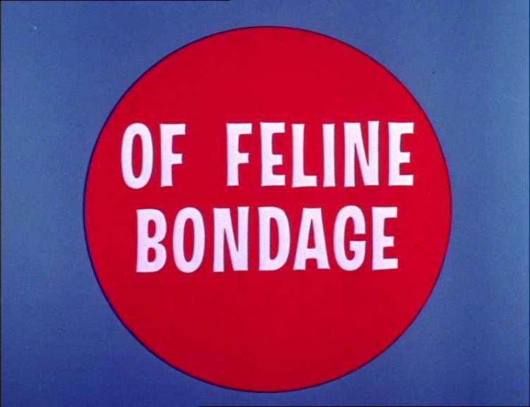 猫的奴隶 Of Feline Bondage