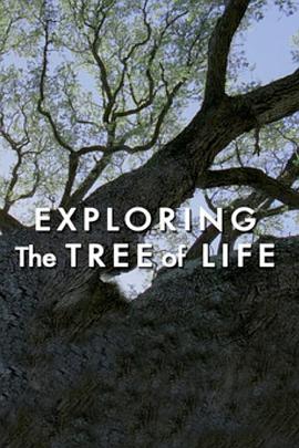 探索生命之树 <span style='color:red'>Exploring</span> 'The Tree of Life'