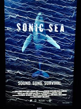 噪音海洋 Sonic Sea