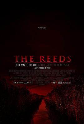 芦苇地 The Reeds
